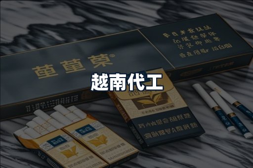 越南代工